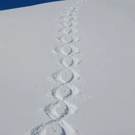 Schafberg Lech am Arlberg