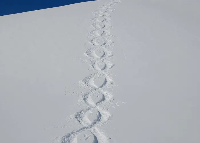 Schafberg Lech am Arlberg